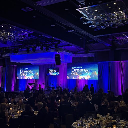 Indoor LED Wall sound system at a corporate event